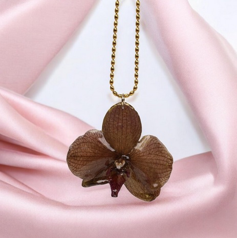 Orchidea