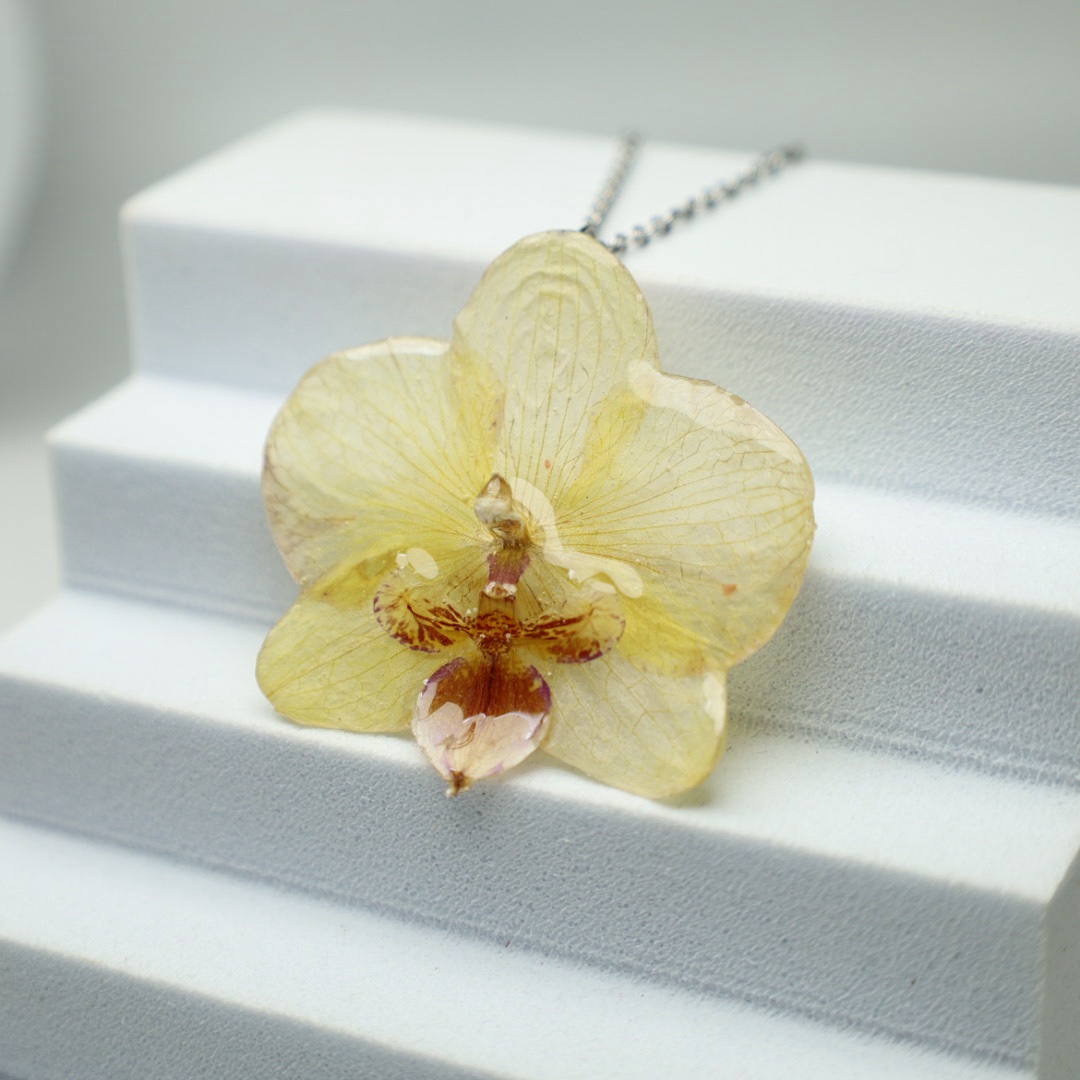 NASZYJNIK STORCZYK ŻÓŁTY