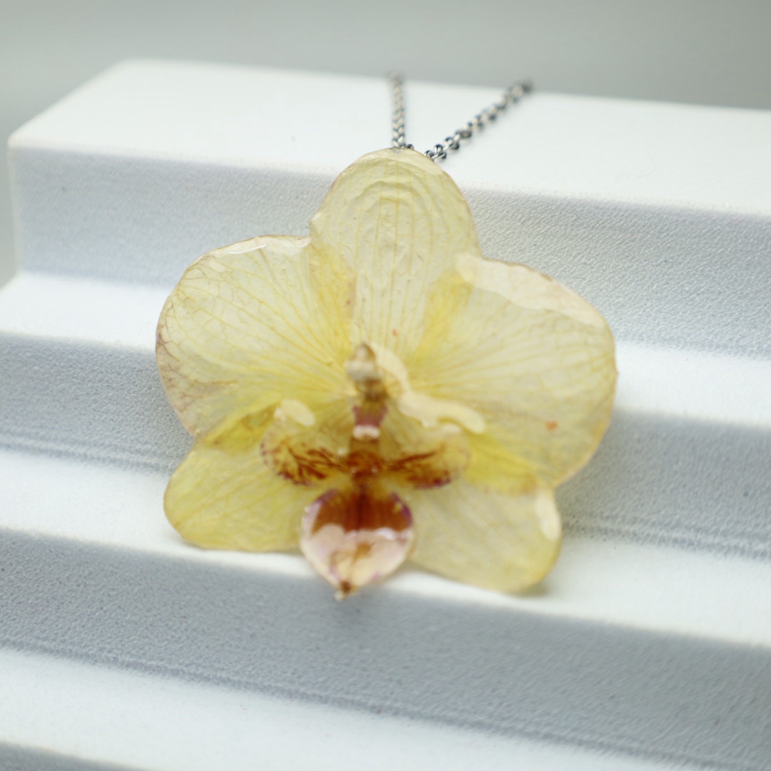 NASZYJNIK STORCZYK ŻÓŁTY