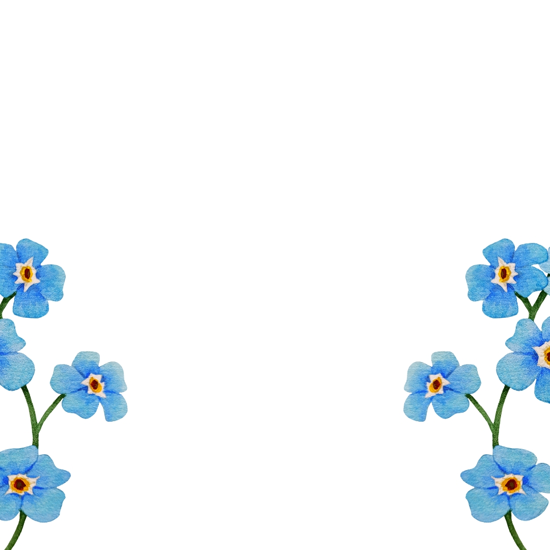 Bukiet Niezapominajek